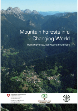 Mountain Forests In A Changing World