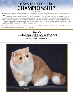 Top 25 Cats in Championship - The Cat Fanciers` Association