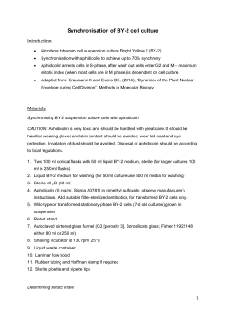 Synchronisation of BY