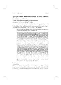Flowering phenology and reproductive effort of the invasive