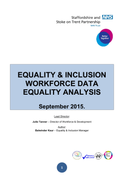 Workforce Equality Data Analysis Report