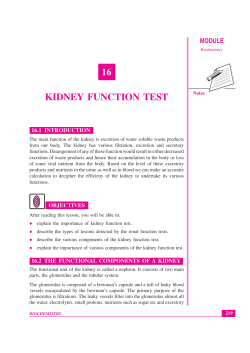 16 kidney function test