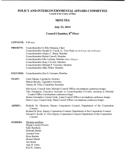 Minutes - County of Maui