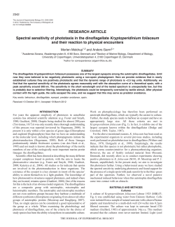 Spectral sensitivity of phototaxis in the dinoflagellate