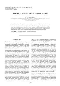 525 ANOSTRACA CATALOGUS (CRUSTACEA: BRANCHIOPODA)