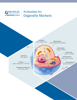 Organelle Markers - Novus Biologicals