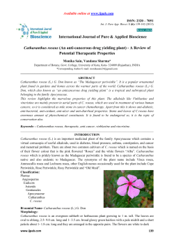 Catharanthus roseus (An anti-cancerous drug yielding plant)