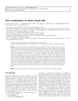 Dew condensation on desert beetle skin - Dadun