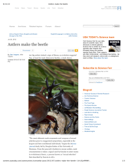 Antlers make the beetle - BEACON Center for the Study of Evolution
