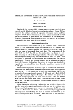 CATALASE ACTIVITY IN CHLOROPLAST PIGMENT