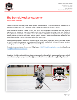 The Detroit Hockey Academy