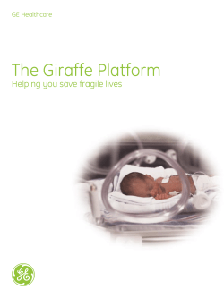 Giraffe Platfrom brochure english