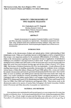 SOMATIC CHROMOSOMES OF `IWO MARINE TELEOSTS