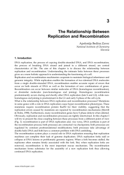 as PDF