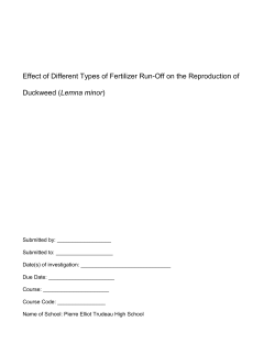 Effect of Different Types of Fertilizer Run-Off