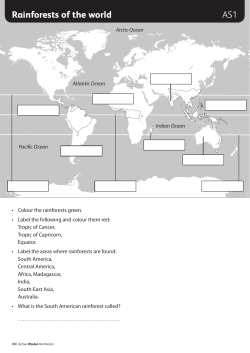 free Rainforests activity sheets