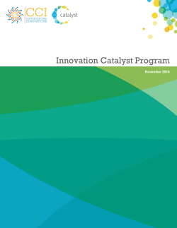 Innovation Catalyst Program Application