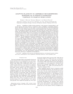Read PDF - University of Michigan