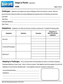 Adaptations - Underwater World