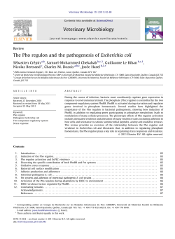 The Pho regulon and the pathogenesis of Escherichia coli