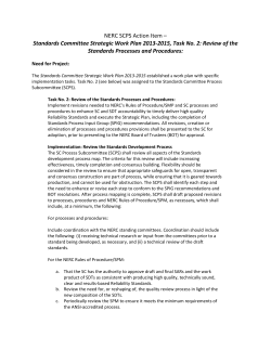NERC SCPS Action Item &ndash; Standards Committee Strategic Work
