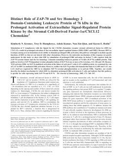 Distinct Role of ZAP-70 and Src Homology 2 Domain