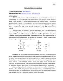 Synthesis of Biodiesel