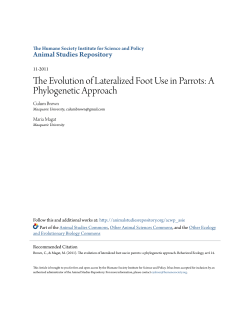 The Evolution of Lateralized Foot Use in Parrots