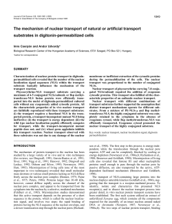 The mechanism of nuclear transport of natural or artificial transport