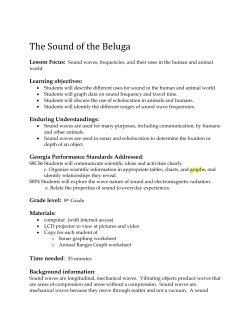 The Sound of the Beluga