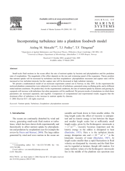 Incorporating turbulence into a plankton foodweb model - ICM-CSIC