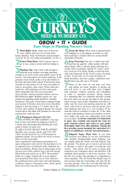 grow &bull; it &bull; guide