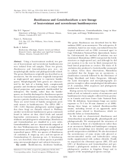 a new lineage of heat-resistant and xerotolerant basidiomycetes