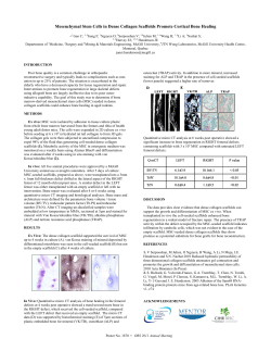 Mesenchymal Stem Cells in Dense Collagen Scaffolds Promote