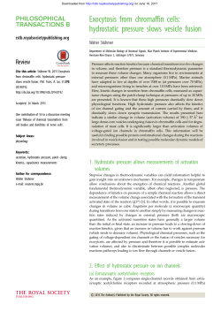 hydrostatic pressure slows vesicle fusion