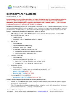 Interim ISV Short Guidance - Minnesota Pollution Control Agency