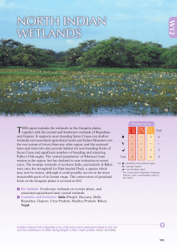North Indian wetlands