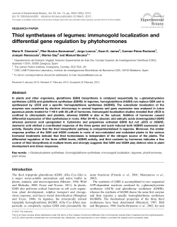 changes in DNA Thiol synthetases of legumes: immunogold
