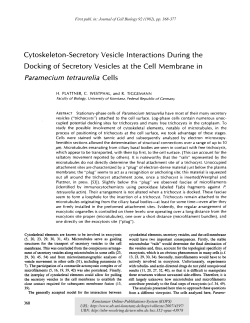 Cytoskeleton-Secretory Vesicle Interactions During