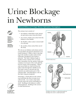Urine Blockage in Newborns
