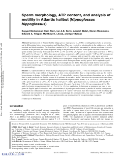 Sperm morphology, ATP content, and analysis of motility in Atlantic