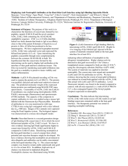 5:30 p.m. 245. Displaying Anti-Neutrophil Antibodies at the Host