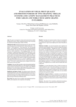 EVALUATION OF YIELD, FRUIT QUALITY AND PHOTOSYNTHESIS
