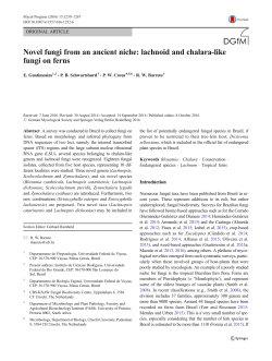Novel fungi from an ancient niche: lachnoid and - CBS-Knaw