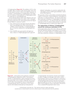 Corrected page PDF - Sinauer Associates