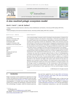 A size-resolved pelagic ecosystem model