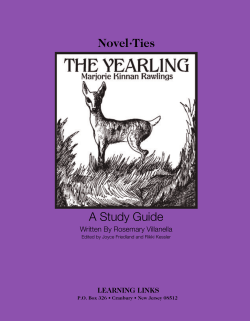 Novel&bull;Ties A Study Guide