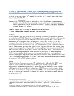 Influence of Transcutaneous Electrical Nerve Stimulation on Pain