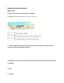 Sedimentary Rock Environments Page 3 and 4 Directions: Read