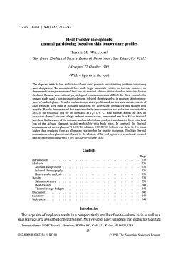 Heat transfer in elephants: thermal partitioning